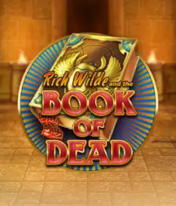 Enter the thrilling world of Book of Dead Slot by Play'n GO, presenting vivid graphics of Rich Wilde’s adventurous journey through ancient Egyptian tombs and artifacts. Find lost riches with captivating mechanics like free spins, expanding symbols, and a gamble option. Ideal for those seeking adventure with a desire for thrilling discoveries.